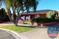 Property photo of 6 Pinner Court Shepparton VIC 3630