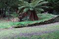 Property photo of 70 Main Road Beech Forest VIC 3237