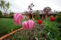 Property photo of 9 Weeroona Place Jerrabomberra NSW 2619