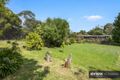 Property photo of 57 Seaview Road Frankston South VIC 3199