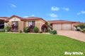Property photo of 4 Ragamuffin Circuit Shell Cove NSW 2529