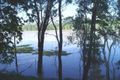 Property photo of 39 Berry Dairy Road Glendale QLD 4711