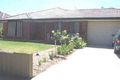 Property photo of 6 Perry Avenue Daw Park SA 5041