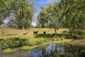 Property photo of 114 Parukala Road Mangrove Mountain NSW 2250