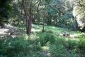 Property photo of 29 Cokeworks Road Coledale NSW 2515