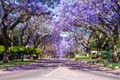 Property photo of 47A Macleod Road Applecross WA 6153