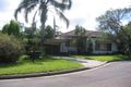 Property photo of 13 Whitfield Avenue Narwee NSW 2209