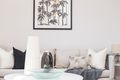 Property photo of 18 Forsyth Street Glebe NSW 2037