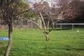 Property photo of 6 Charles Street Cressy TAS 7302
