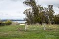 Property photo of 337 Hillwood Road Hillwood TAS 7252