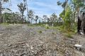 Property photo of 91 Lake Forest Drive Murrays Beach NSW 2281