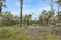 Property photo of 91 Lake Forest Drive Murrays Beach NSW 2281