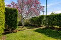 Property photo of 2 Shiel Street Rangeville QLD 4350
