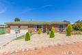 Property photo of 38 Goldner Circuit Melba ACT 2615