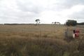 Property photo of 86 Church Road Trawalla VIC 3373