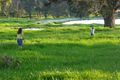 Property photo of 1891 Bridgetown-Boyup Brook Road Benjinup WA 6255
