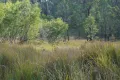 Property photo of 97 Long Gully Road Drake NSW 2469