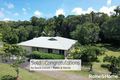 Property photo of 125 Windsor View Road Julatten QLD 4871