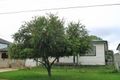 Property photo of 55 Alan Street Yagoona NSW 2199