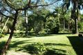 Property photo of 411 Dinner Creek Road Eubenangee QLD 4860