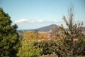 Property photo of 423 Strongs Road Jaspers Brush NSW 2535