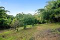 Property photo of 309 Diddillibah Road Diddillibah QLD 4559