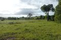 Property photo of LOT 79 North Dallarnil Road Dallarnil QLD 4621
