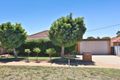Property photo of 57 Nardoo Street Red Cliffs VIC 3496