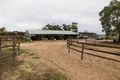 Property photo of 169 O'Connell Road Bordertown SA 5268