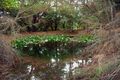 Property photo of 287-289 Yarra Road Wonga Park VIC 3115