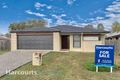 Property photo of 47 Peacherine Circuit Bellmere QLD 4510