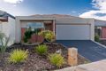 Property photo of 42 Lilyturf Drive Tarneit VIC 3029