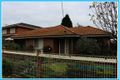 Property photo of 45 Thompson Street Whittington VIC 3219