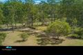 Property photo of 49 Settlement Road Curra QLD 4570