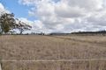 Property photo of 670 Scrubby Road Scrubby Mountain QLD 4356