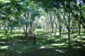 Property photo of 505 Settlers Road Lower Macdonald NSW 2775