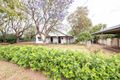 Property photo of 128 Third Avenue South Narromine NSW 2821