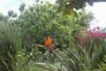 Property photo of 8 Barrier Green Ocean Reef WA 6027