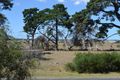 Property photo of 17 Lees Road Venus Bay VIC 3956
