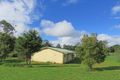 Property photo of 14 Figtree Close Malanda QLD 4885