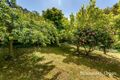 Property photo of 1652 Bulga Park Road Balook VIC 3971