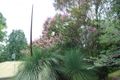Property photo of 7 Karawatha Drive Currumbin Waters QLD 4223