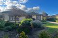Property photo of 13 Kurrua Grove Dernancourt SA 5075