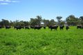 Property photo of 1798 Great Alpine Road Tarrawingee VIC 3678