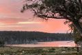 Property photo of 50 Arthurs Lake Road Wilburville TAS 7030