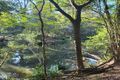 Property photo of 4 Riverpark Drive Nerang QLD 4211