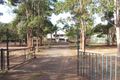 Property photo of 14 Pacific Haven Drive Howard QLD 4659