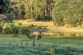 Property photo of 84 Song Place Perup WA 6258