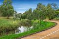 Property photo of 6 Ryan Street Coburg VIC 3058