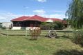 Property photo of 18 Ferguson Road Lucindale SA 5272